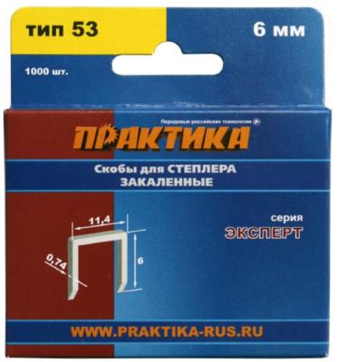 Скобы 6мм тип 53 (ПРАКТИКА) /арт. 775-365/