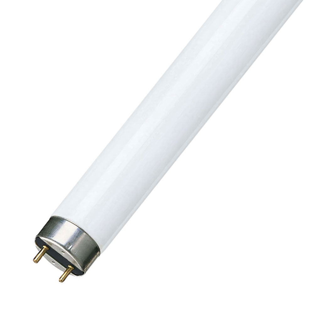 Лампа люминесцентная линейная G13 Т8 58Вт 6200К 4000Lm (PHILIPS) — фото 1